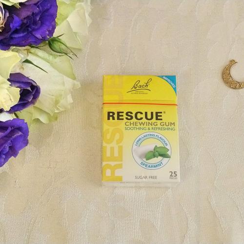 rescue006
